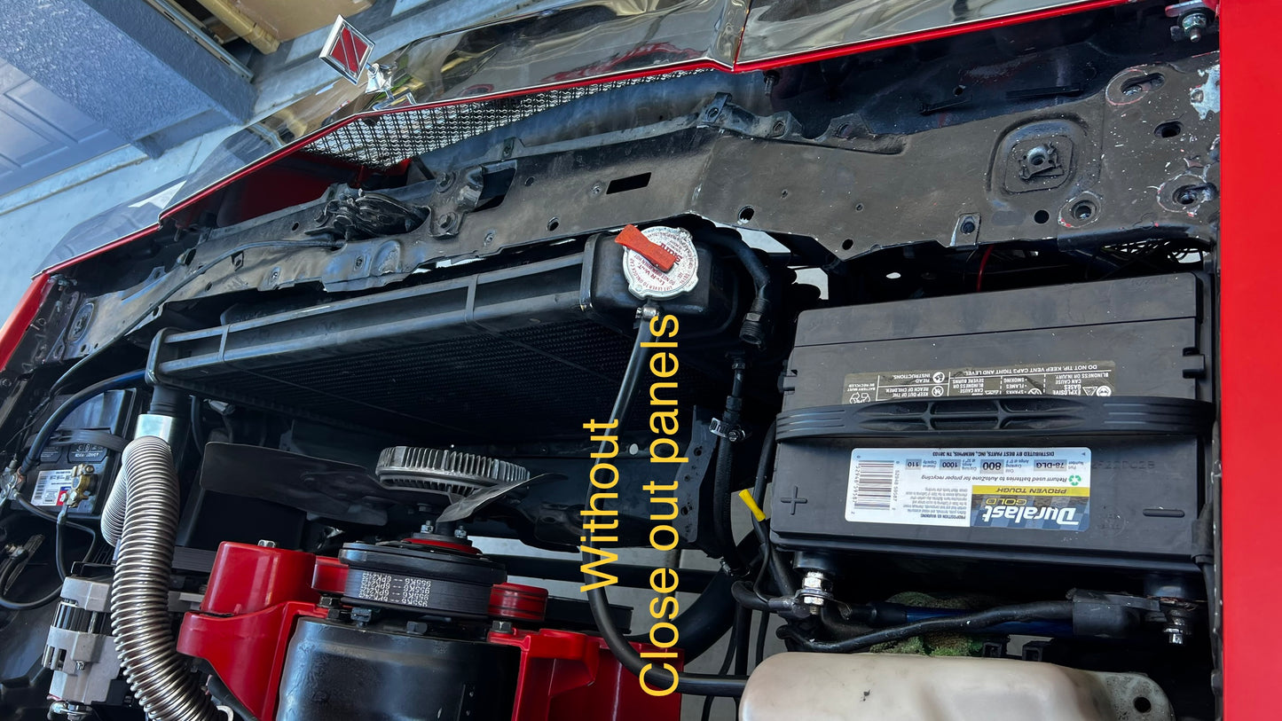 Buick Regal/ Grand national Closeout Panel Kit